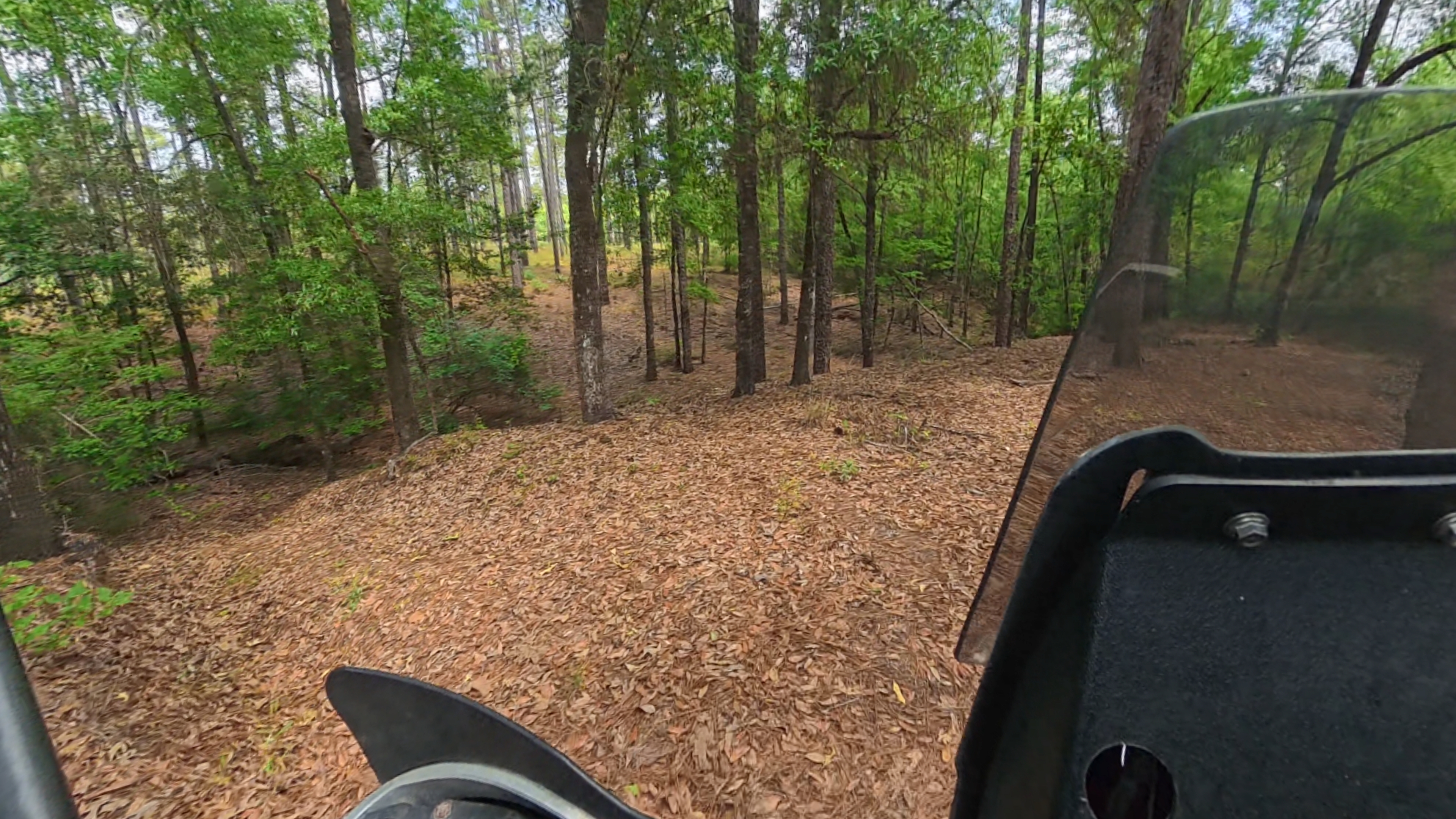 Group ride