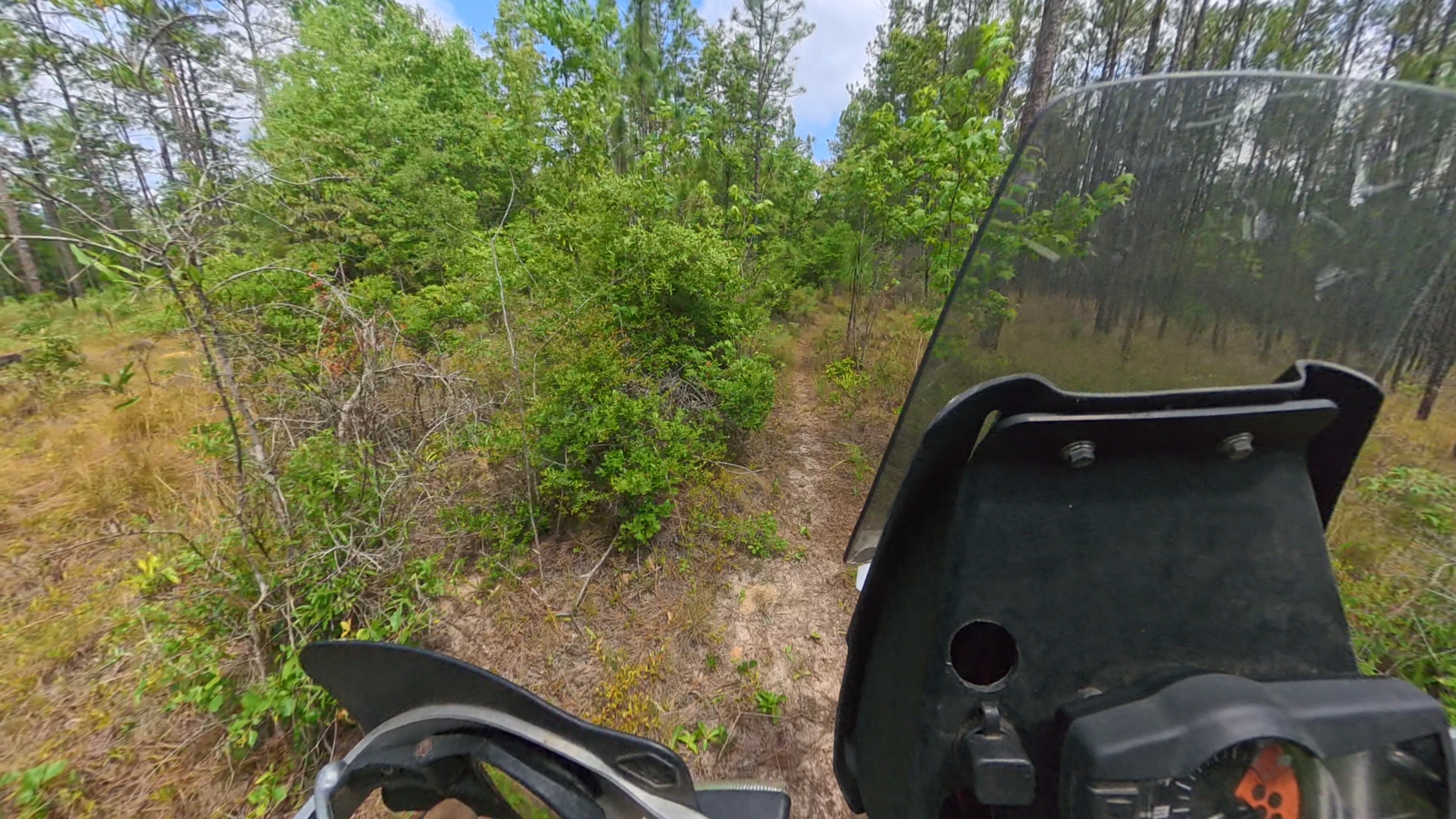 Sandy backwoods route